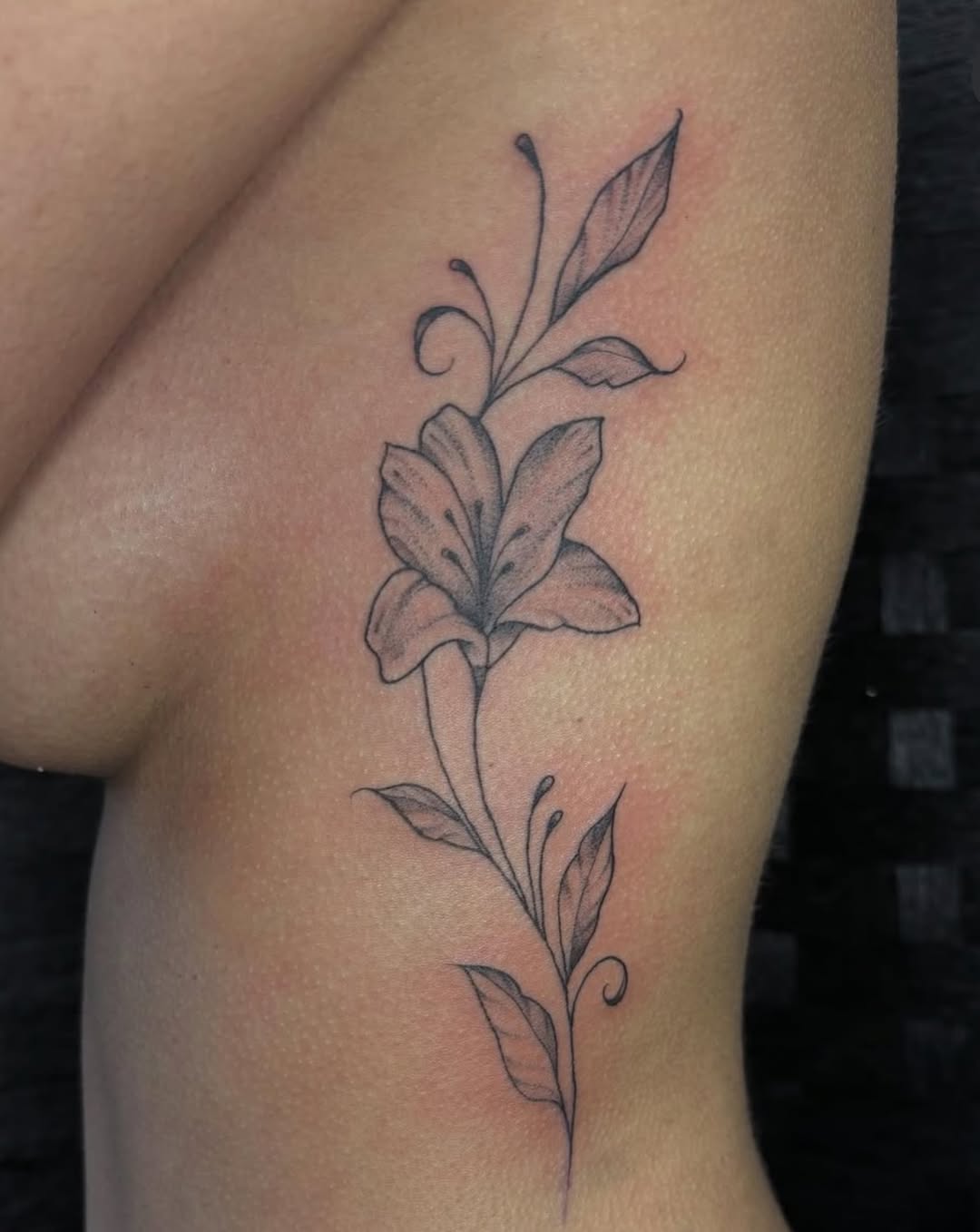 Jules' work
